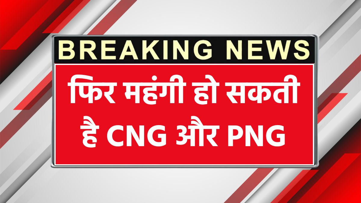 CNG and PNG price
